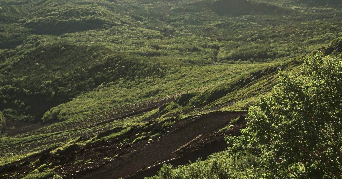 富士山